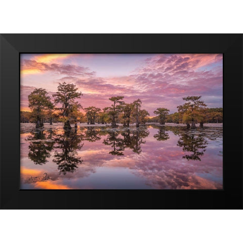 Magnificent Sunset in the Swamps Black Modern Wood Framed Art Print by Podt, Martin