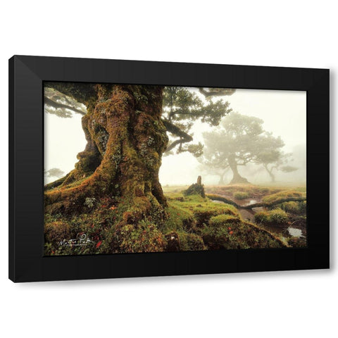 World of Magic Black Modern Wood Framed Art Print with Double Matting by Podt, Martin