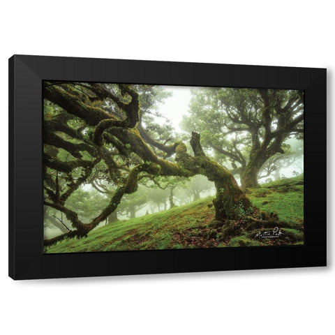 Tentacles Black Modern Wood Framed Art Print with Double Matting by Podt, Martin