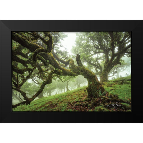 Tentacles Black Modern Wood Framed Art Print by Podt, Martin