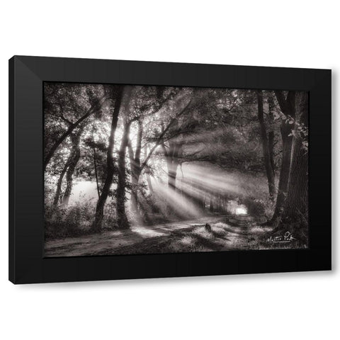 Black and White Rays Black Modern Wood Framed Art Print with Double Matting by Podt, Martin