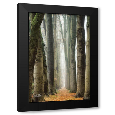 Narrow Alley in the Netherlands     Black Modern Wood Framed Art Print with Double Matting by Podt, Martin