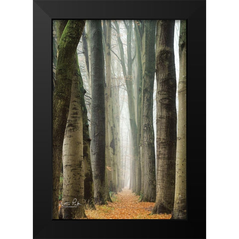 Narrow Alley in the Netherlands     Black Modern Wood Framed Art Print by Podt, Martin