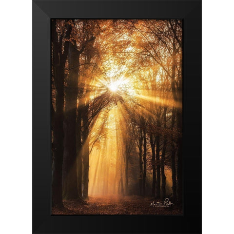 Sunburst     Black Modern Wood Framed Art Print by Podt, Martin