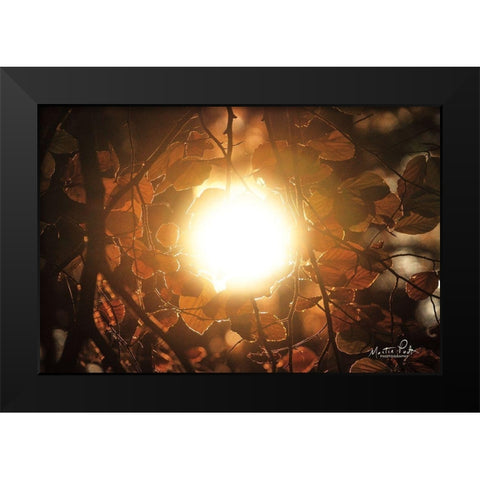 Into the Sun Black Modern Wood Framed Art Print by Podt, Martin