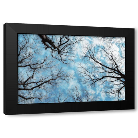 Reaching for the Sky Black Modern Wood Framed Art Print with Double Matting by Podt, Martin