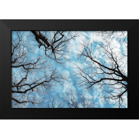 Reaching for the Sky Black Modern Wood Framed Art Print by Podt, Martin