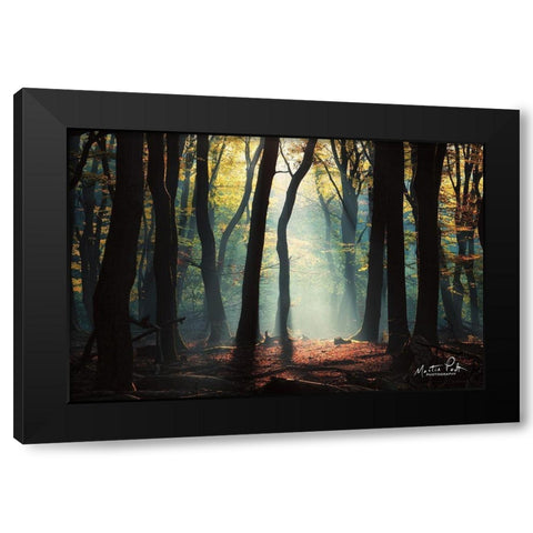 Forest Blues Black Modern Wood Framed Art Print by Podt, Martin