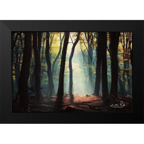 Forest Blues Black Modern Wood Framed Art Print by Podt, Martin