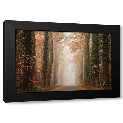 Foggy Autumn Road   Black Modern Wood Framed Art Print with Double Matting by Podt, Martin
