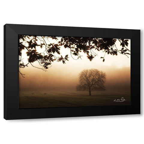 Under the Leaves  Black Modern Wood Framed Art Print by Podt, Martin