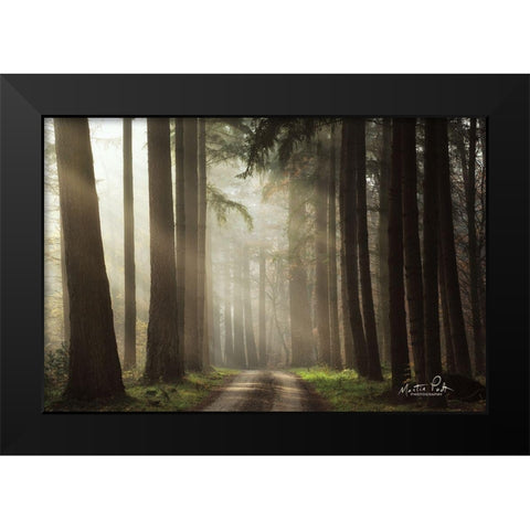 Natural Beauty   Black Modern Wood Framed Art Print by Podt, Martin