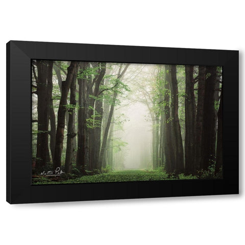 Moisture is the Essence of Wetness    Black Modern Wood Framed Art Print by Podt, Martin