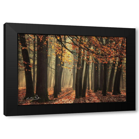 Bunch of Trees Black Modern Wood Framed Art Print with Double Matting by Podt, Martin