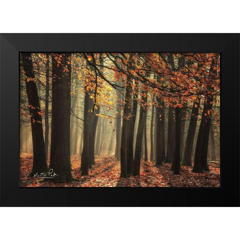 Bunch of Trees Black Modern Wood Framed Art Print by Podt, Martin