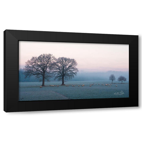 Sheep on a Cold Morning Black Modern Wood Framed Art Print with Double Matting by Podt, Martin