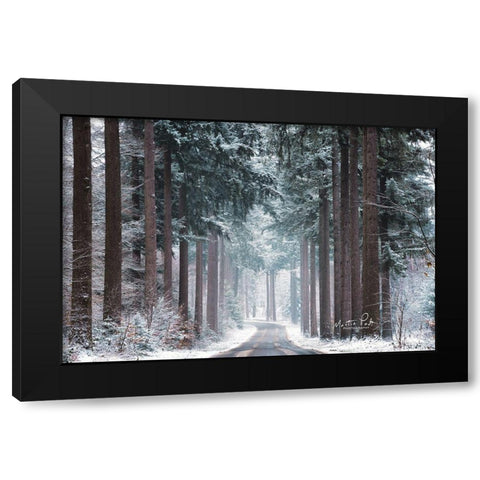 Pines in Winter Dress Black Modern Wood Framed Art Print by Podt, Martin