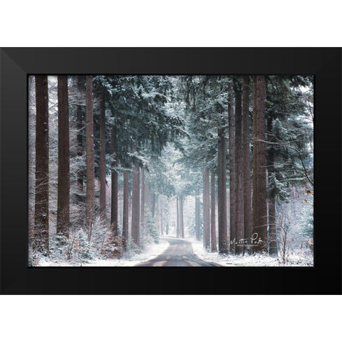 Pines in Winter Dress Black Modern Wood Framed Art Print by Podt, Martin