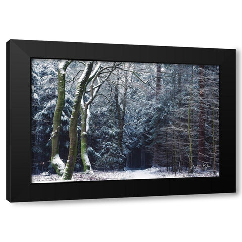 Gate to the Dark World Black Modern Wood Framed Art Print with Double Matting by Podt, Martin