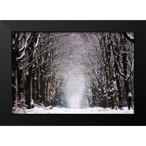 Winter Tunnel Black Modern Wood Framed Art Print by Podt, Martin