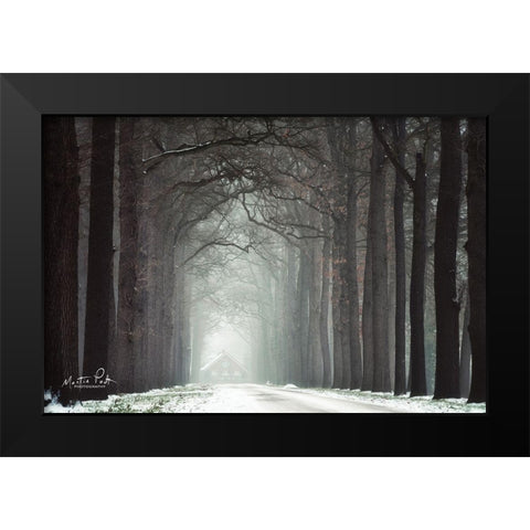 Haunted House Black Modern Wood Framed Art Print by Podt, Martin