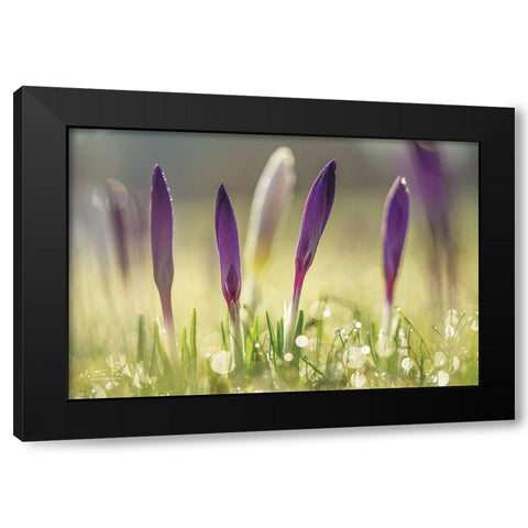 Four in a Row Black Modern Wood Framed Art Print with Double Matting by Podt, Martin