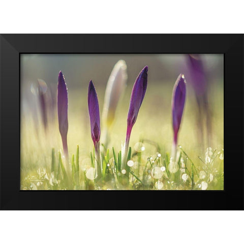 Four in a Row Black Modern Wood Framed Art Print by Podt, Martin