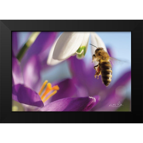 Bee I Black Modern Wood Framed Art Print by Podt, Martin