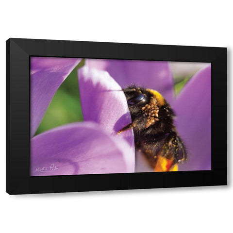 Bee II Black Modern Wood Framed Art Print with Double Matting by Podt, Martin