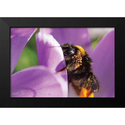 Bee II Black Modern Wood Framed Art Print by Podt, Martin