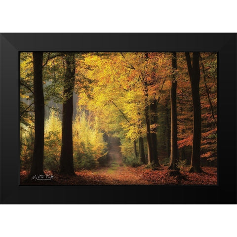 Autumn Mood Black Modern Wood Framed Art Print by Podt, Martin