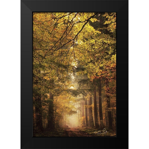 Memories of the Past Black Modern Wood Framed Art Print by Podt, Martin