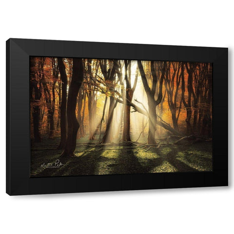 The Awakening Black Modern Wood Framed Art Print with Double Matting by Podt, Martin