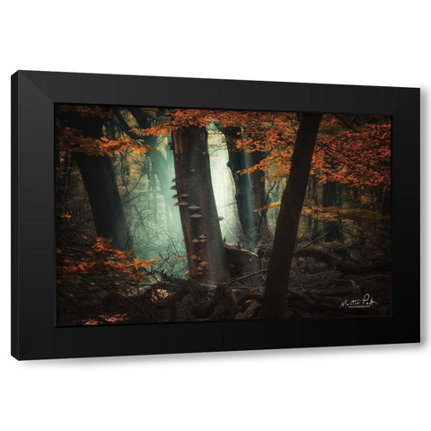 Beautiful Mess Black Modern Wood Framed Art Print with Double Matting by Podt, Martin