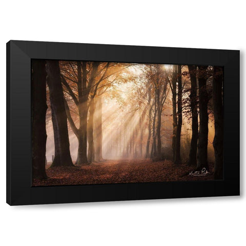 Look for the Light in All Things Black Modern Wood Framed Art Print with Double Matting by Podt, Martin