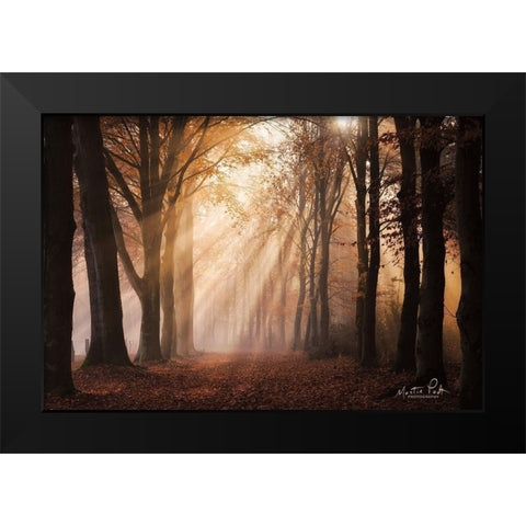 Look for the Light in All Things Black Modern Wood Framed Art Print by Podt, Martin