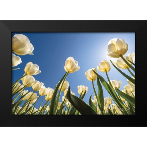 Look Up in White      Black Modern Wood Framed Art Print by Podt, Martin