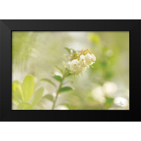 Lingonberry Black Modern Wood Framed Art Print by Podt, Martin