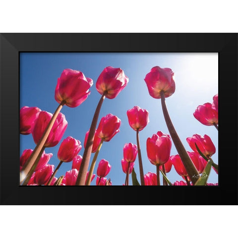 Look Up in Pink Black Modern Wood Framed Art Print by Podt, Martin