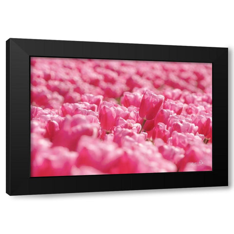 Pink Field Black Modern Wood Framed Art Print by Podt, Martin