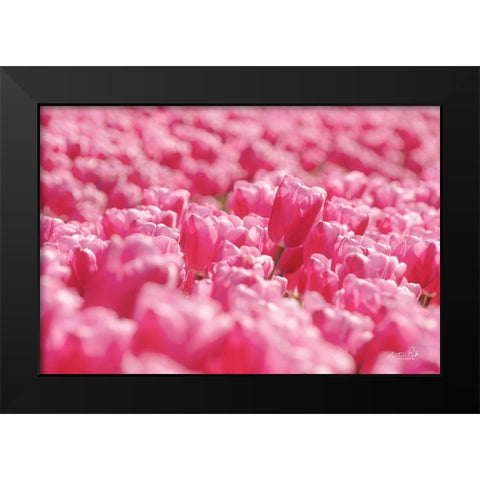 Pink Field Black Modern Wood Framed Art Print by Podt, Martin