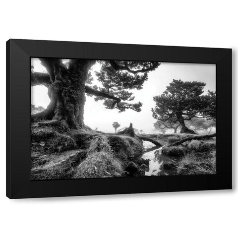 Black and White Fanal Black Modern Wood Framed Art Print with Double Matting by Podt, Martin