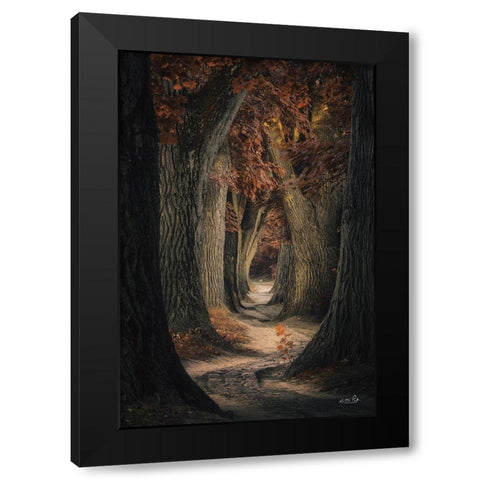 Same Old Path Black Modern Wood Framed Art Print by Podt, Martin