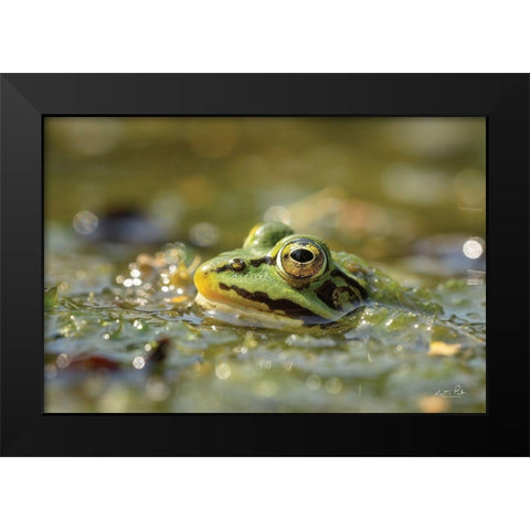Frog Black Modern Wood Framed Art Print by Podt, Martin