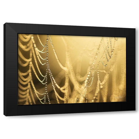 Natures Jewels II Black Modern Wood Framed Art Print with Double Matting by Podt, Martin