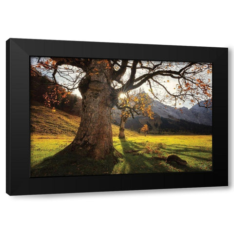 The Star Black Modern Wood Framed Art Print by Podt, Martin