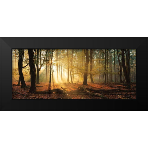 Speulderbos Panorama Black Modern Wood Framed Art Print by Podt, Martin
