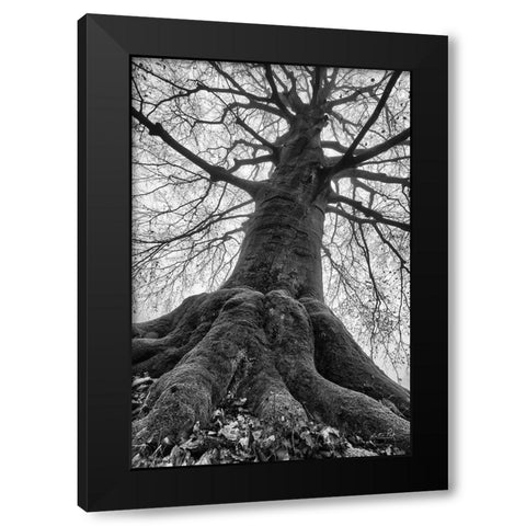 The Giant I Black Modern Wood Framed Art Print by Podt, Martin