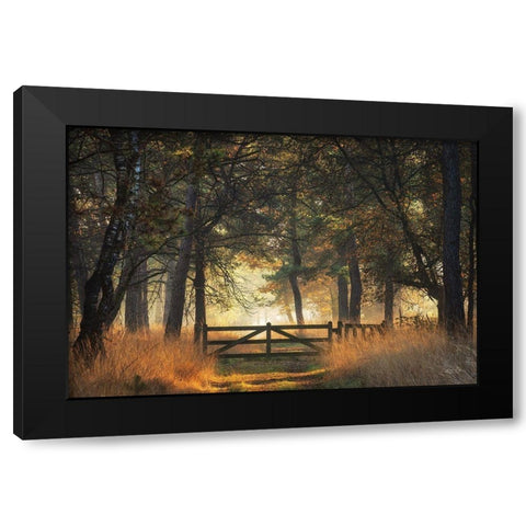 The Gate Black Modern Wood Framed Art Print by Podt, Martin