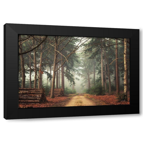 Harvesting Time Black Modern Wood Framed Art Print by Podt, Martin